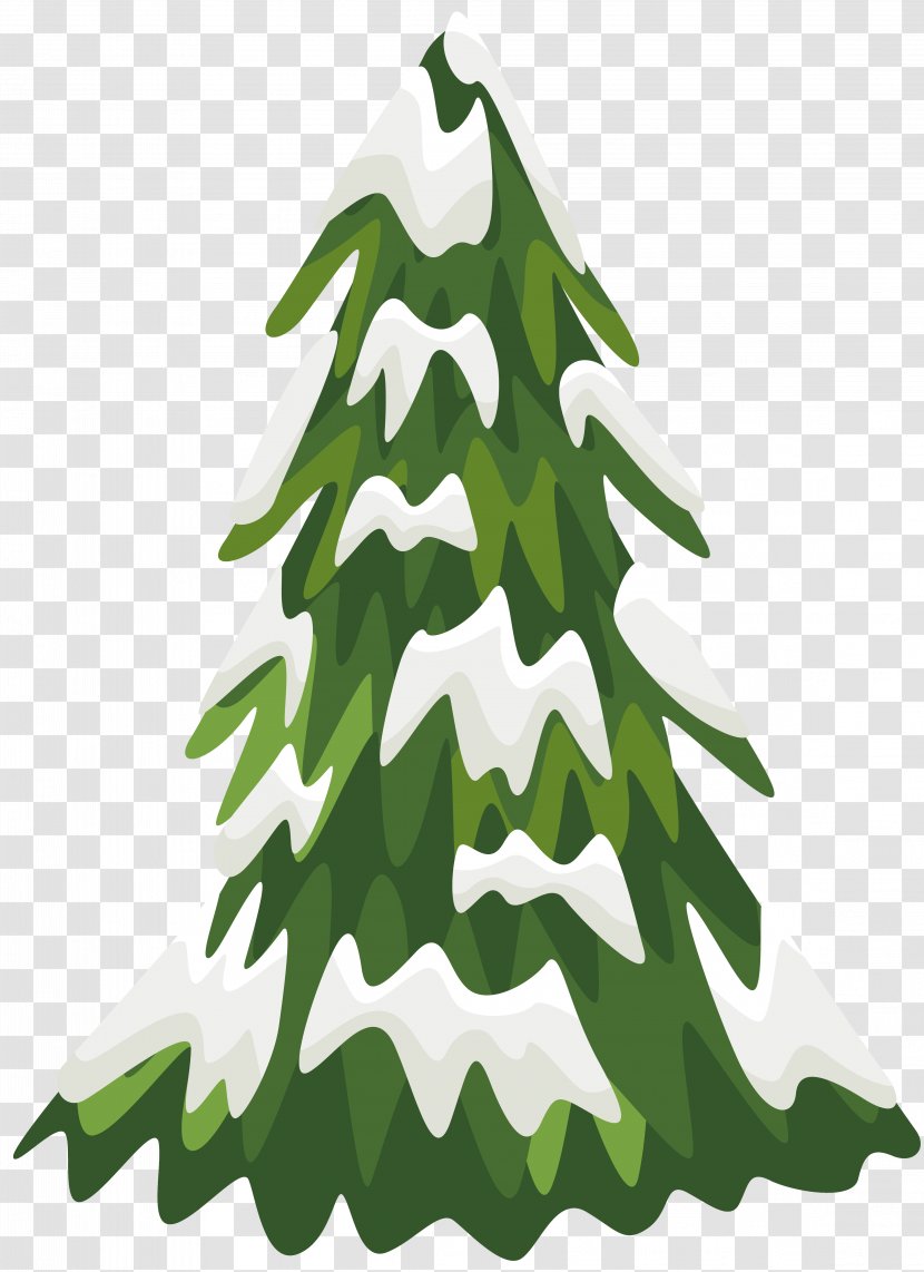 Eastern White Pine Tree Snow Clip Art Transparent PNG