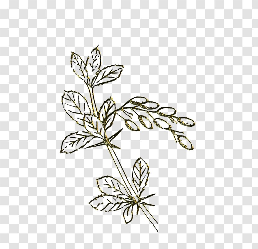Plant Stem Insect Cut Flowers Leaf Line - Butterfly - Mentha Stamp Transparent PNG