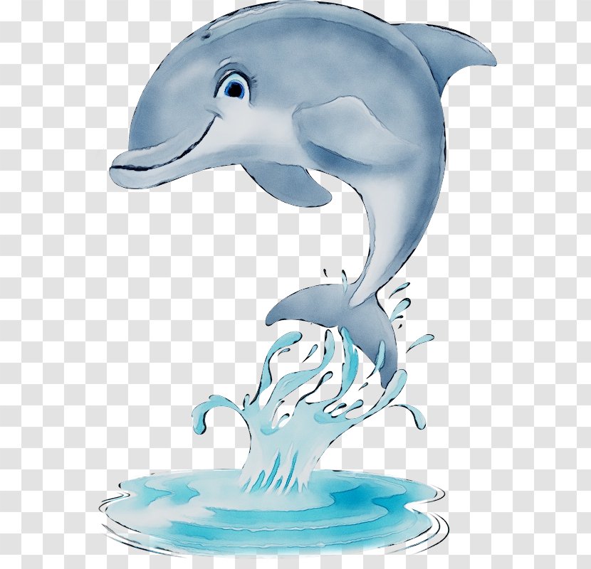 Common Bottlenose Dolphin Tucuxi Short-beaked Rough-toothed - Dolphins - Whales Transparent PNG
