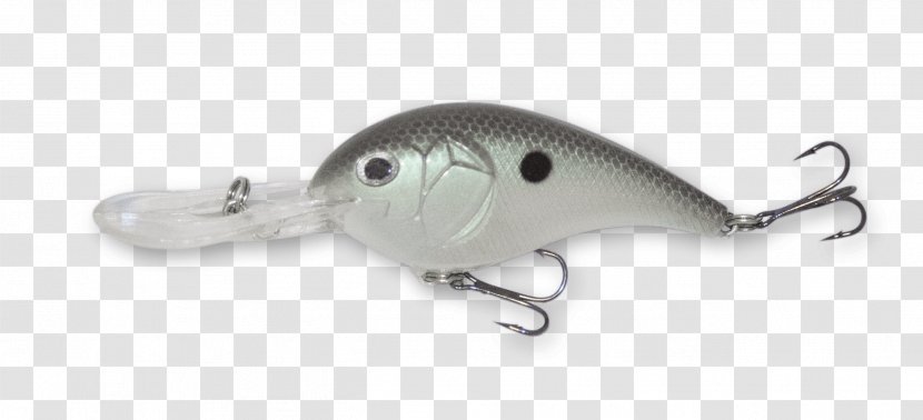 Fishing Baits & Lures Dorosoma - Fish Transparent PNG