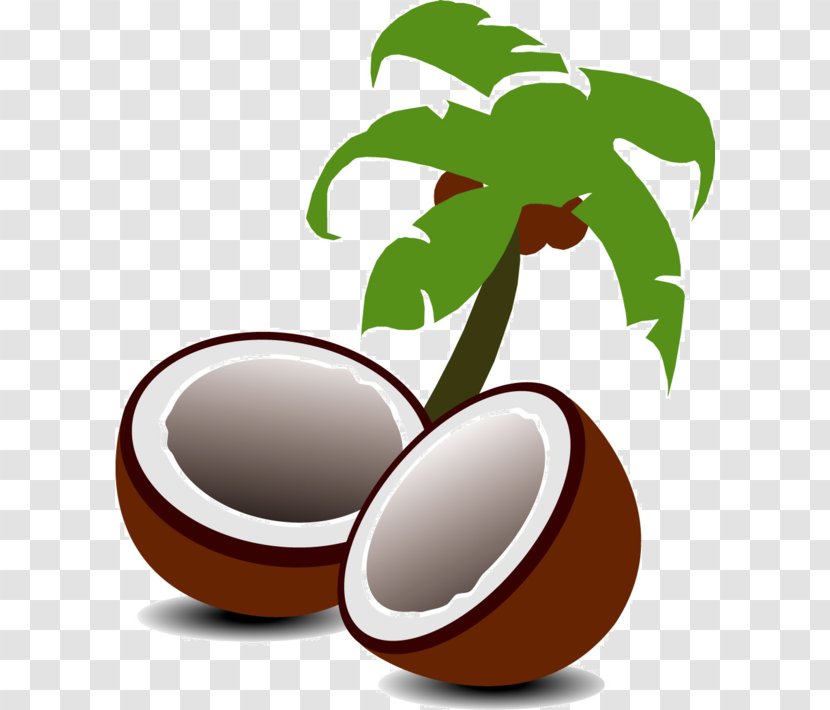 Coconut Arecaceae Tree Clip Art - Nut Transparent PNG