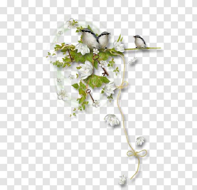 Floral Design Body Jewellery - Flora - Copywriter Background Elements Transparent PNG