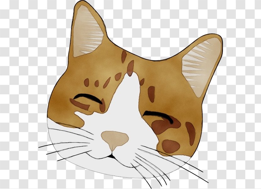 Whiskers Cat Dog Drawing Paw - Kitten Tail Transparent PNG