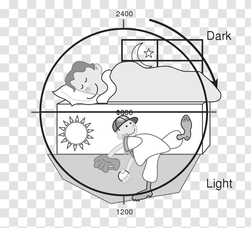 Night Day Clip Art - Watercolor - Technology Cliparts Transparent PNG