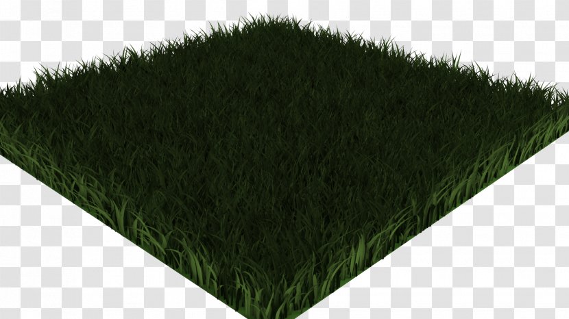 Angle - Plant - Green Transparent PNG