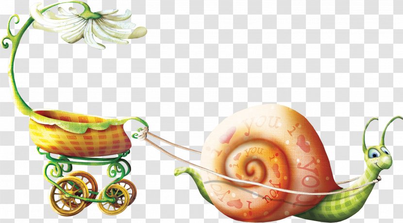 Drawing Animation - Heart - Beautiful Snail Transparent PNG