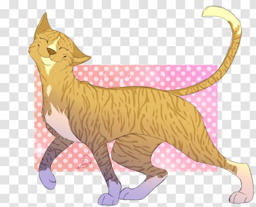 Whiskers Kitten Domestic Short-haired Cat Tabby Wildcat - Mammal Transparent PNG