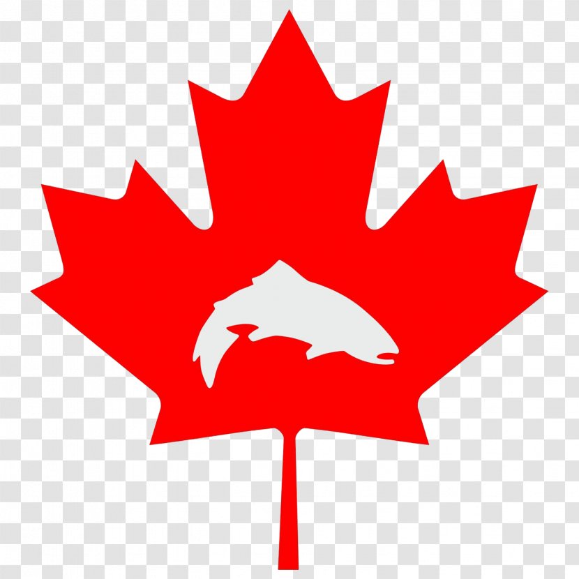 Flag Of Canada Maple Leaf Day - National - Fly Transparent PNG