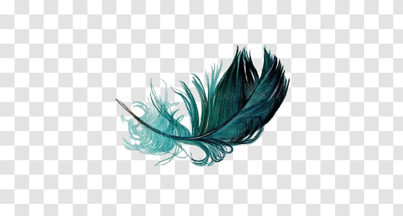 The Floating Feather Bird Watercolor Painting - Drawing Transparent PNG