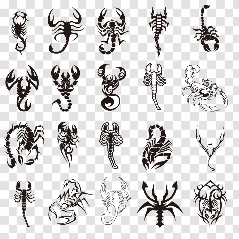Scorpion Tattoo Zodiac Astrological Sign - All Kinds Of Scorpions Transparent PNG