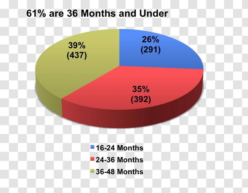 Autism Autistic Spectrum Disorders Child Paternal Age Effect Neurodevelopmental Disorder - Risk Transparent PNG