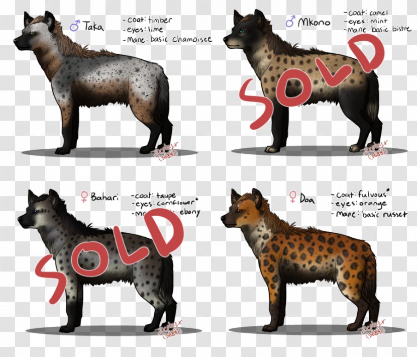 Striped Hyena Lion Animal Spotted - Mammal Transparent PNG