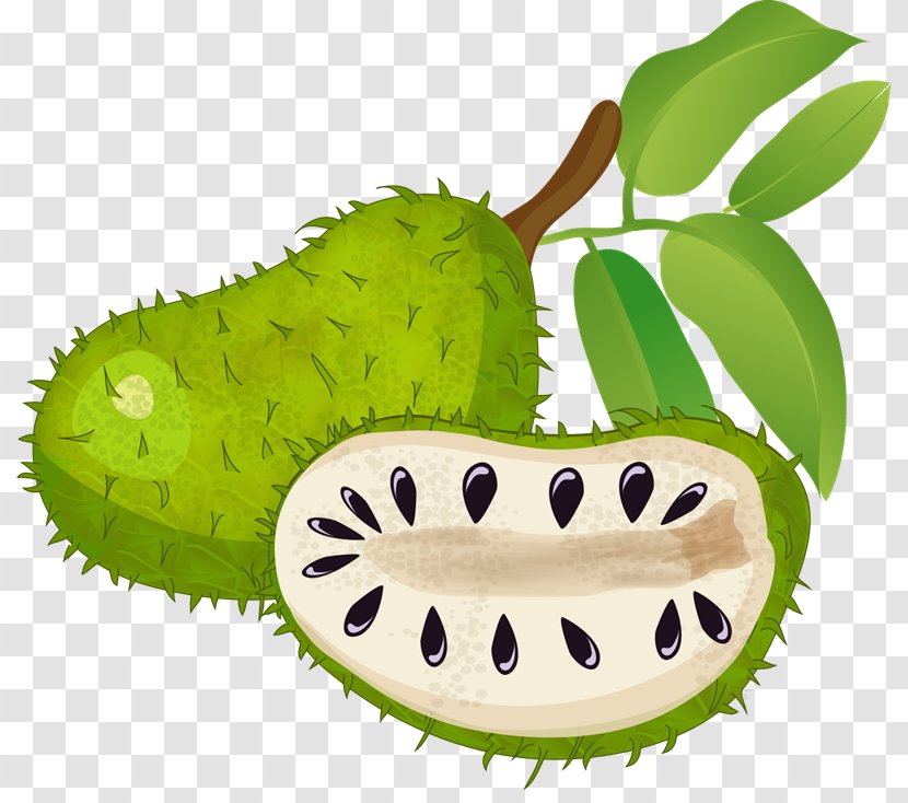 Green Tea Matcha Soursop Sugar Apple - Powder - Tropical Fruit Transparent PNG