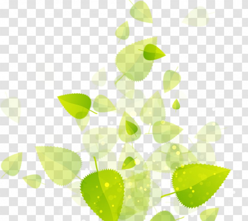 Leaf EPA Safer Choice Information Transparent PNG