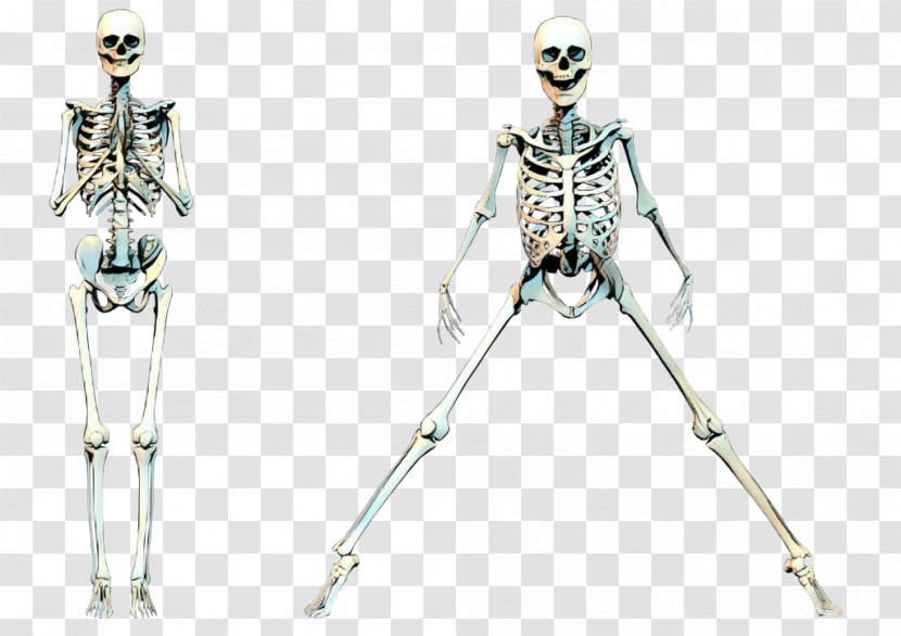 Vintage Background - Shoulder Human Skeleton Transparent PNG