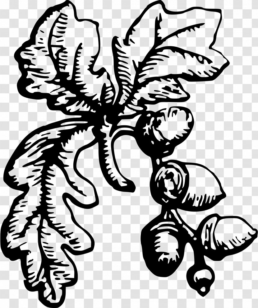 Clip Art Flower Oak Bay Municipal Hall Visual Arts - Botany - Character Transparent PNG