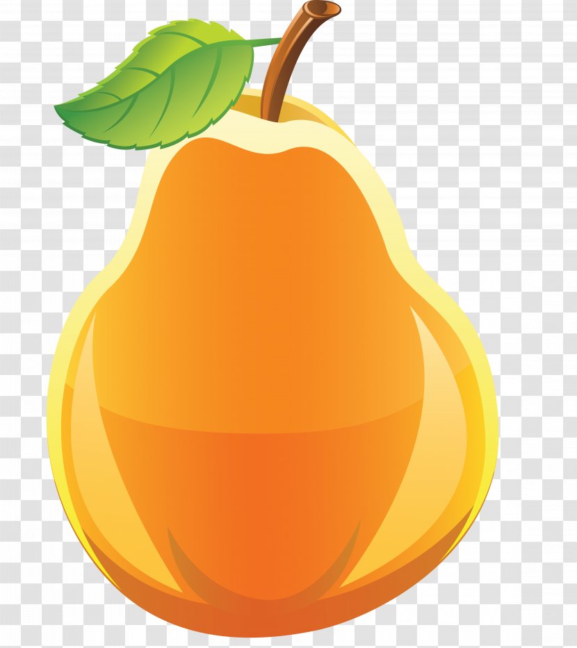 Clip Art Openclipart Avocado Asian Pear - Orange Transparent PNG