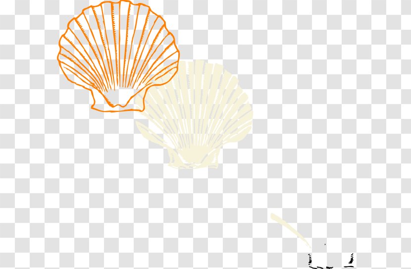Coloring Book Seashell Clam Drawing - Hermit Crab - Seashells Vector Transparent PNG