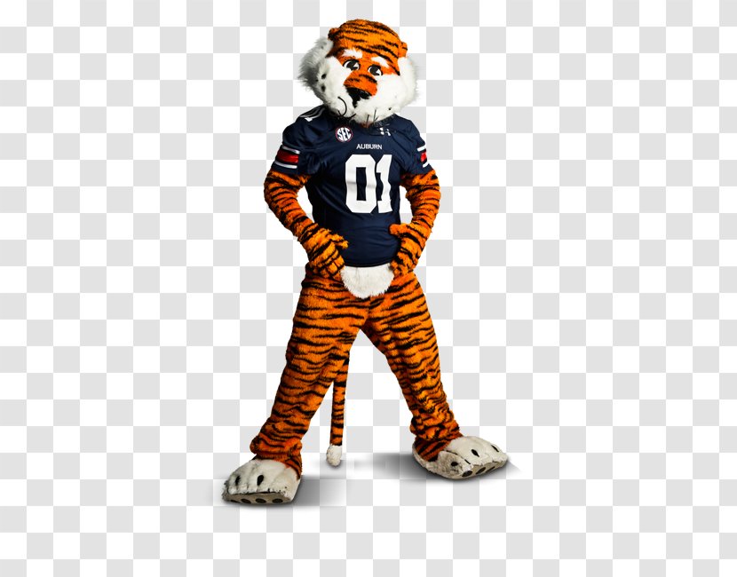 Auburn University Tigers Football Southeastern Conference Citrus Bowl Alabama Crimson Tide - Mascot Transparent PNG