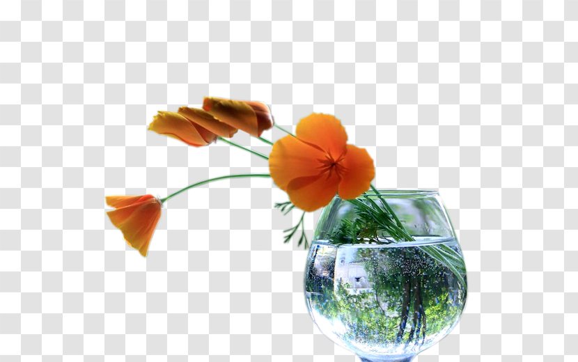 Flower Euclidean Vector - Petal - Vase Transparent PNG