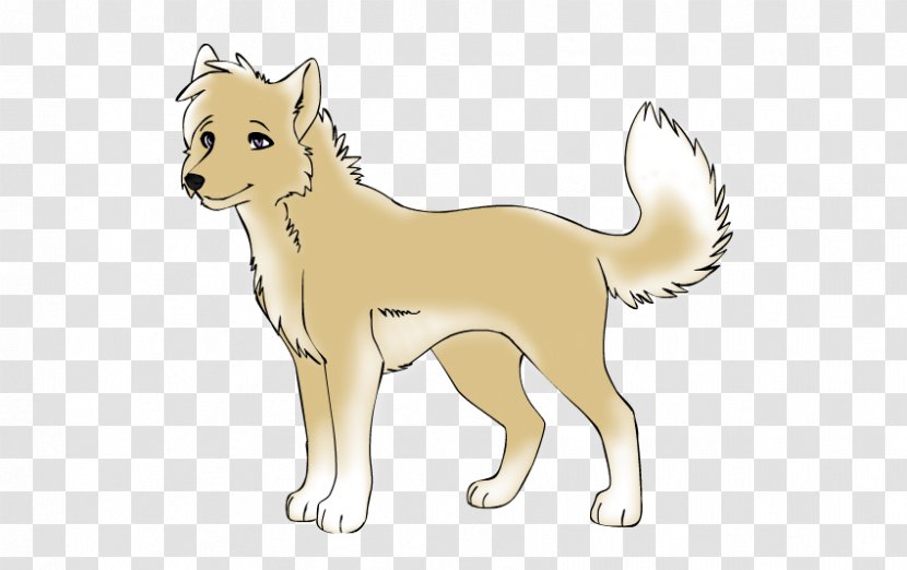 Shikoku Dog Puppy Dingo Breed Wolfdog - Flower Transparent PNG