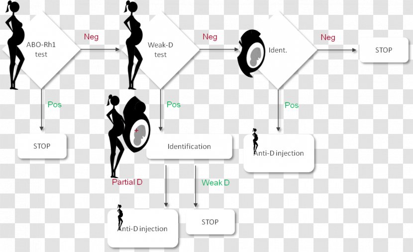 Rho(D) Immune Globulin Rh Blood Group System Antigen Pregnancy Antibody - Newborns Transparent PNG