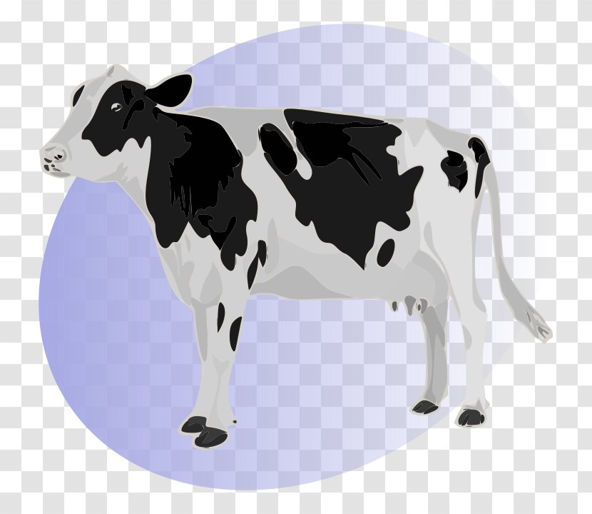 Holstein Friesian Cattle Stock Photography Calf Dairy Desktop Wallpaper - Cartoon Transparent PNG