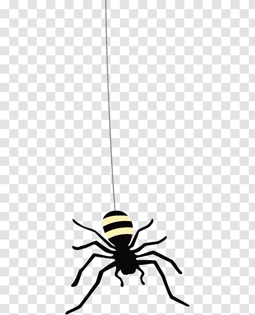 Spider Halloween Transparent PNG