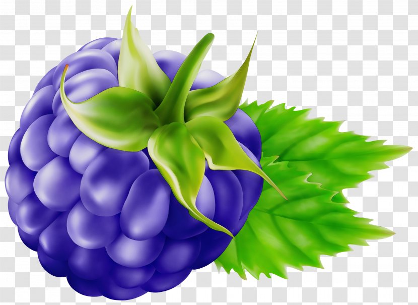 Purple Watercolor Flower - Ball Petal Transparent PNG