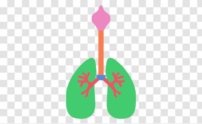 Lung Oxygen Clip Art - Symbol - Human Body Transparent PNG