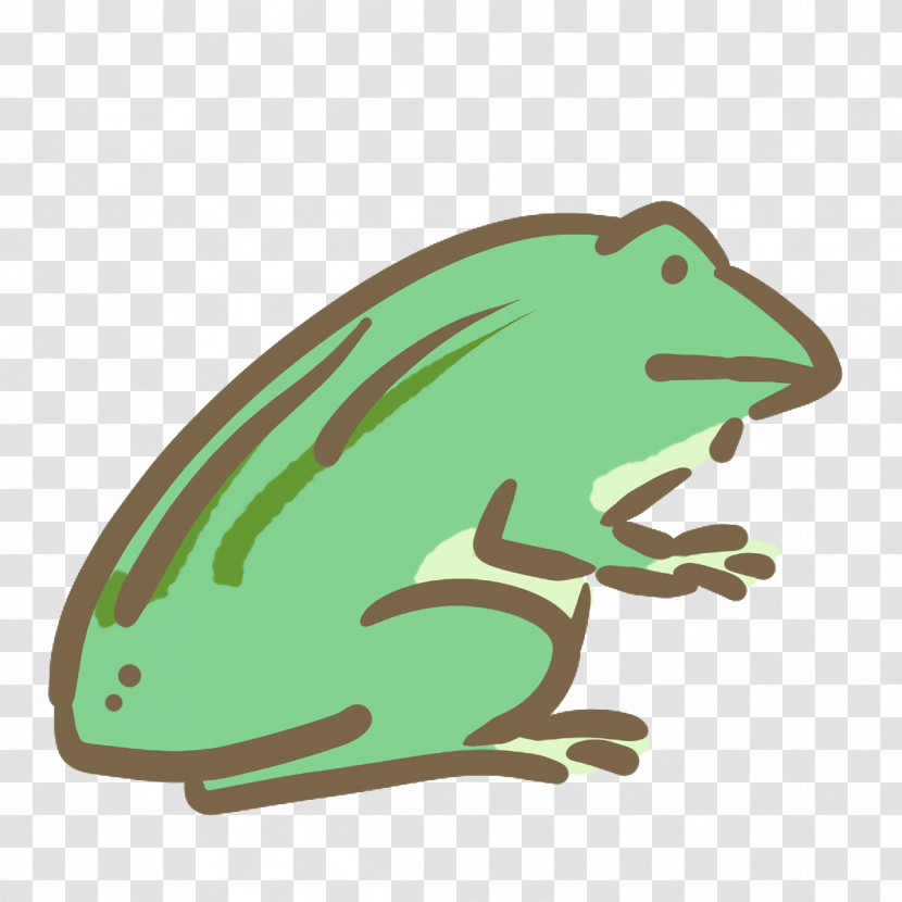 True Frog Reptiles Toad Tree Frog Frogs Transparent PNG