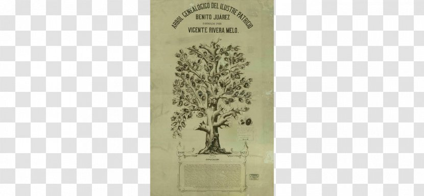 Genealogy Family Tree History Mexico Science - Blogger - Benito Juarez Transparent PNG