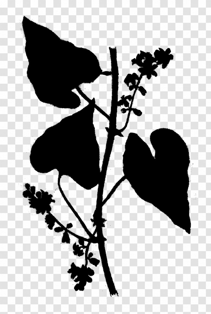 Visual Arts Clip Art Silhouette Flower - Pedicel - Plants Transparent PNG