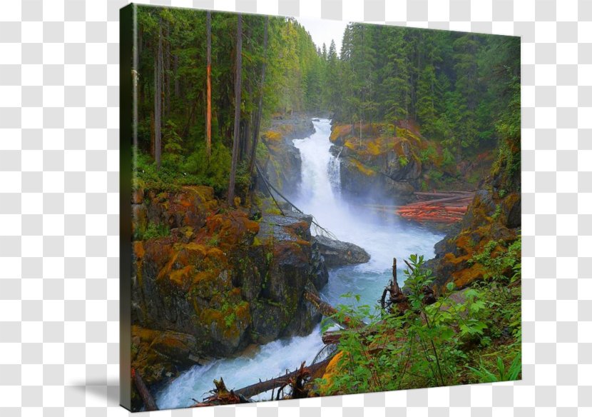 Waterfall Stream Gallery Wrap Water Resources Nature Reserve - Lake - Forest Park Kanching Transparent PNG