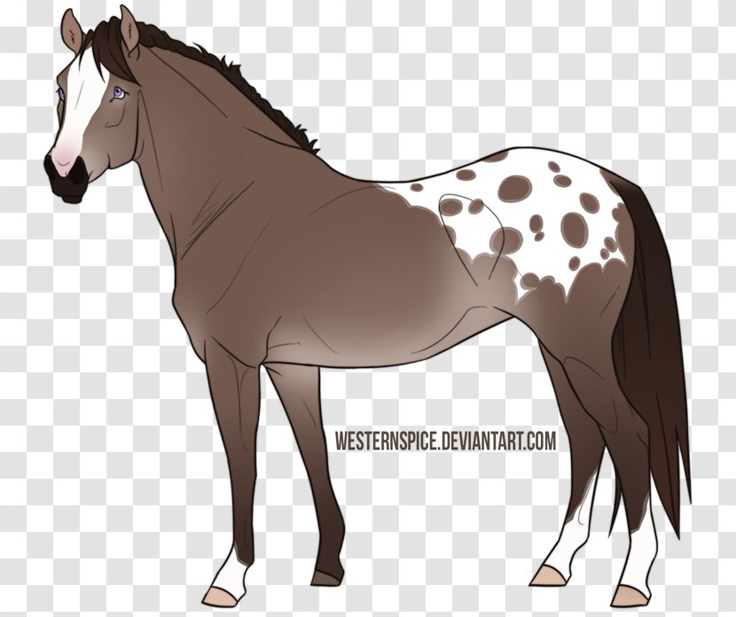 Mule Stallion Foal Mare Mustang - Rein - Aztec Poster Transparent PNG