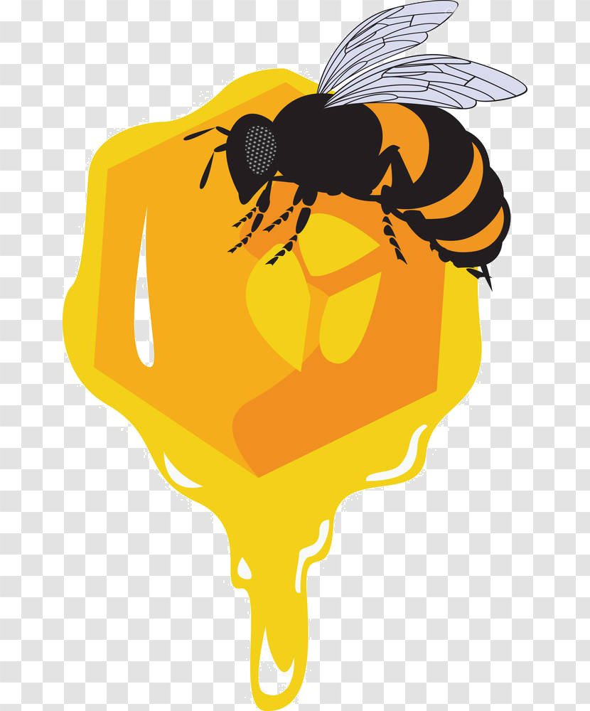 Bee Honeycomb Euclidean Vector Drawing Illustration - Stock Photography - Cartoon Material Transparent PNG