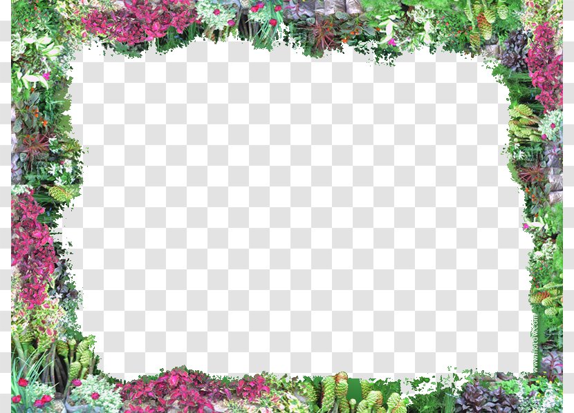 Border Flowers Clip Art - Flora - Flower Transparent PNG