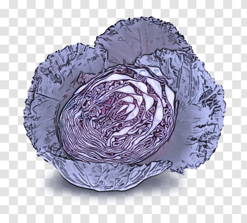 Cabbage Purple Violet Wild Cabbage Vegetable Transparent PNG