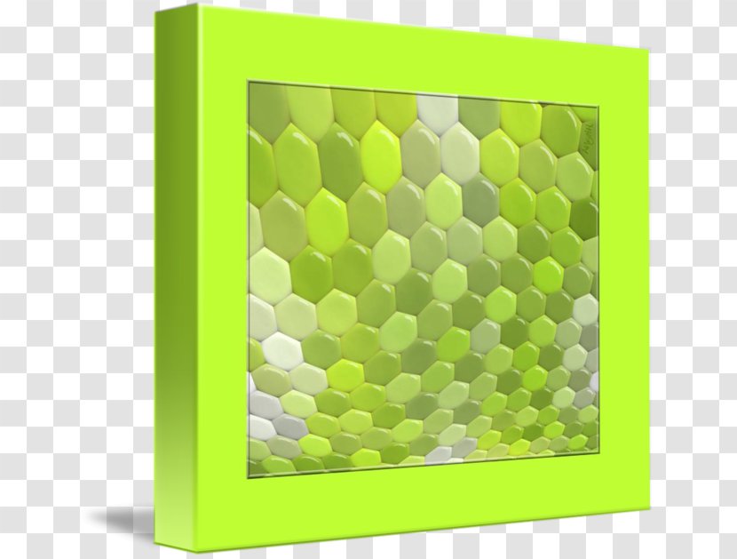 Picture Frames Green Pattern - Rectangle - Design Transparent PNG