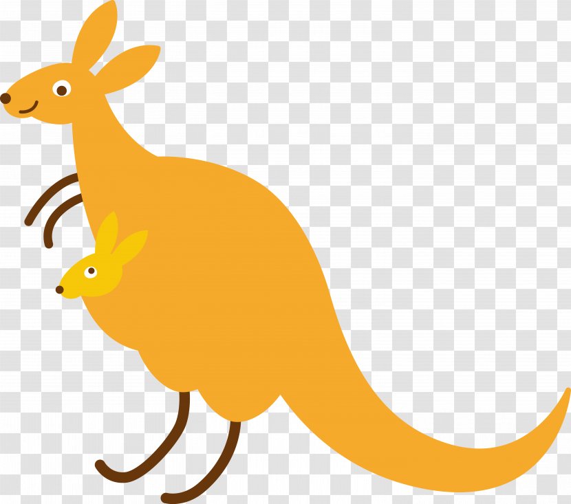 Kangaroo Macropodidae Clip Art - Mammal - Vector Cartoon Transparent PNG