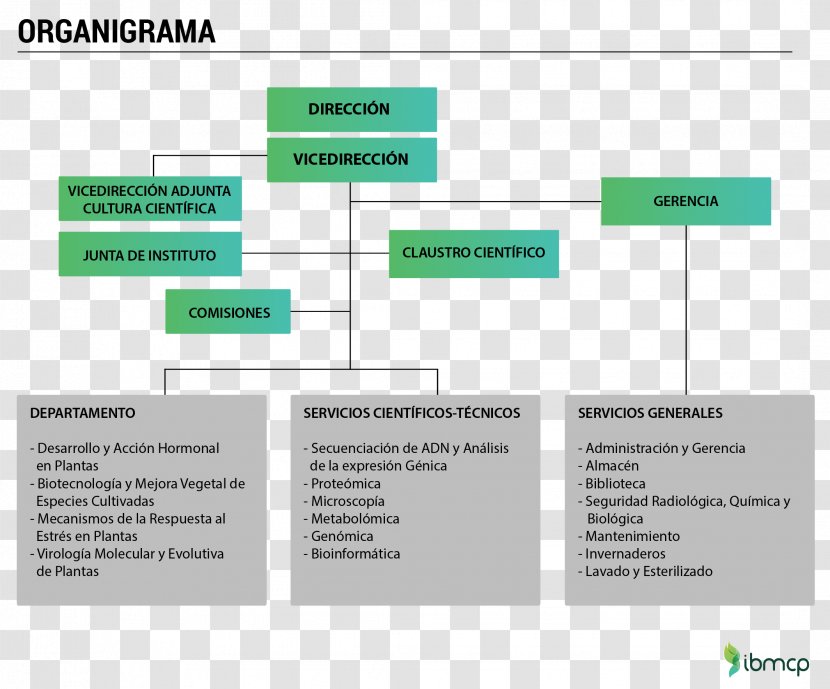 Web Page Product Design Green Organization Multimedia - Presentacion Para Ingenieros Transparent PNG