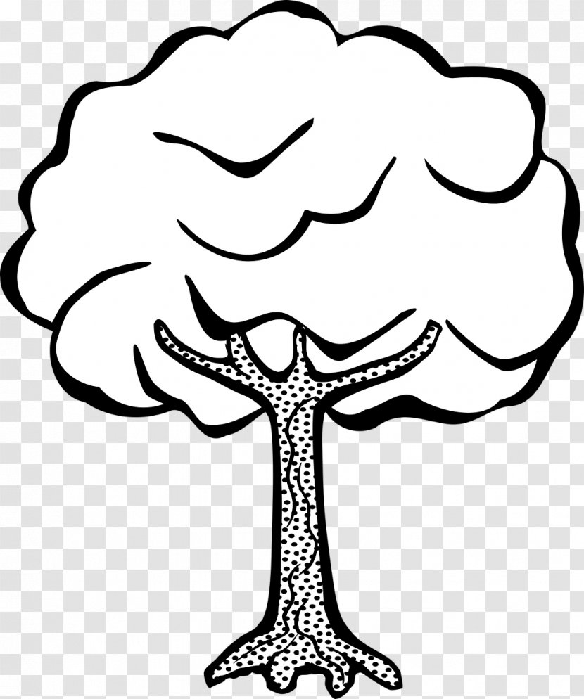 Drawing Line Art Tree Clip - Hand - Coconut Transparent PNG