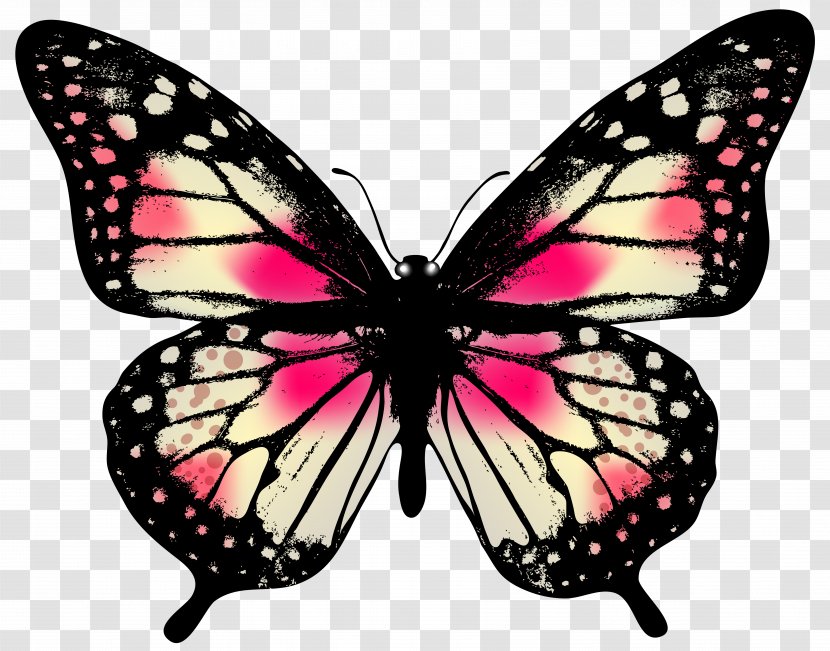 Butterfly Pink Clip Art - Nymphalidae - Large Image Transparent PNG