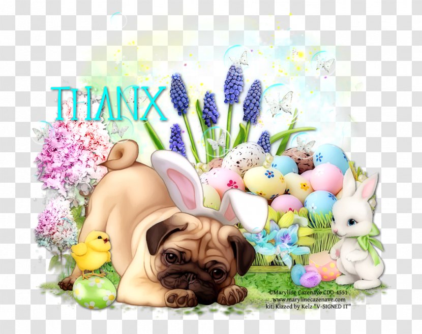 Pug Puppy Love Dog Breed Snout Transparent PNG