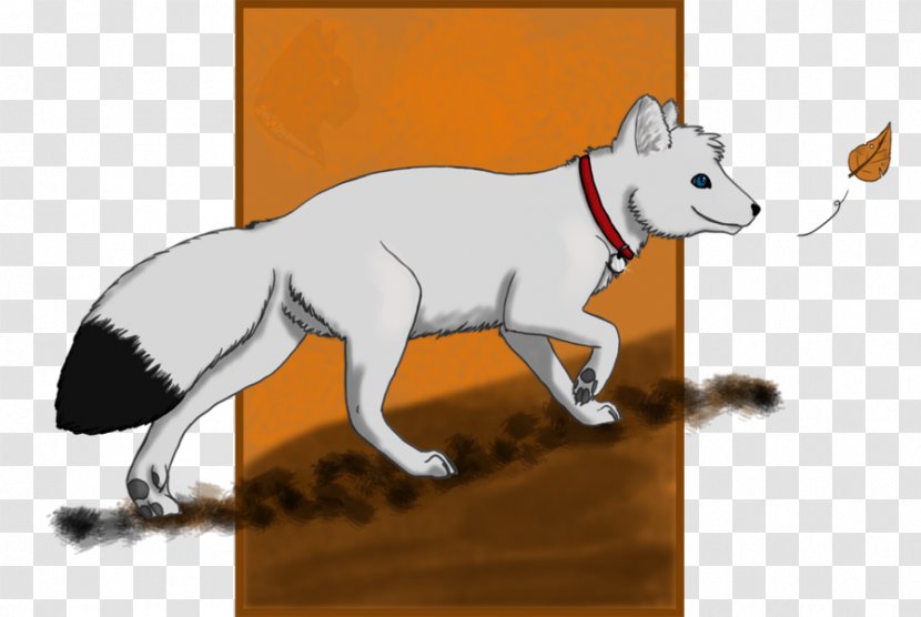 Cat Red Fox Arctic Drawing - Canidae Transparent PNG