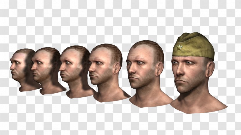 Jaw Beard Homo Sapiens - Facial Hair Transparent PNG