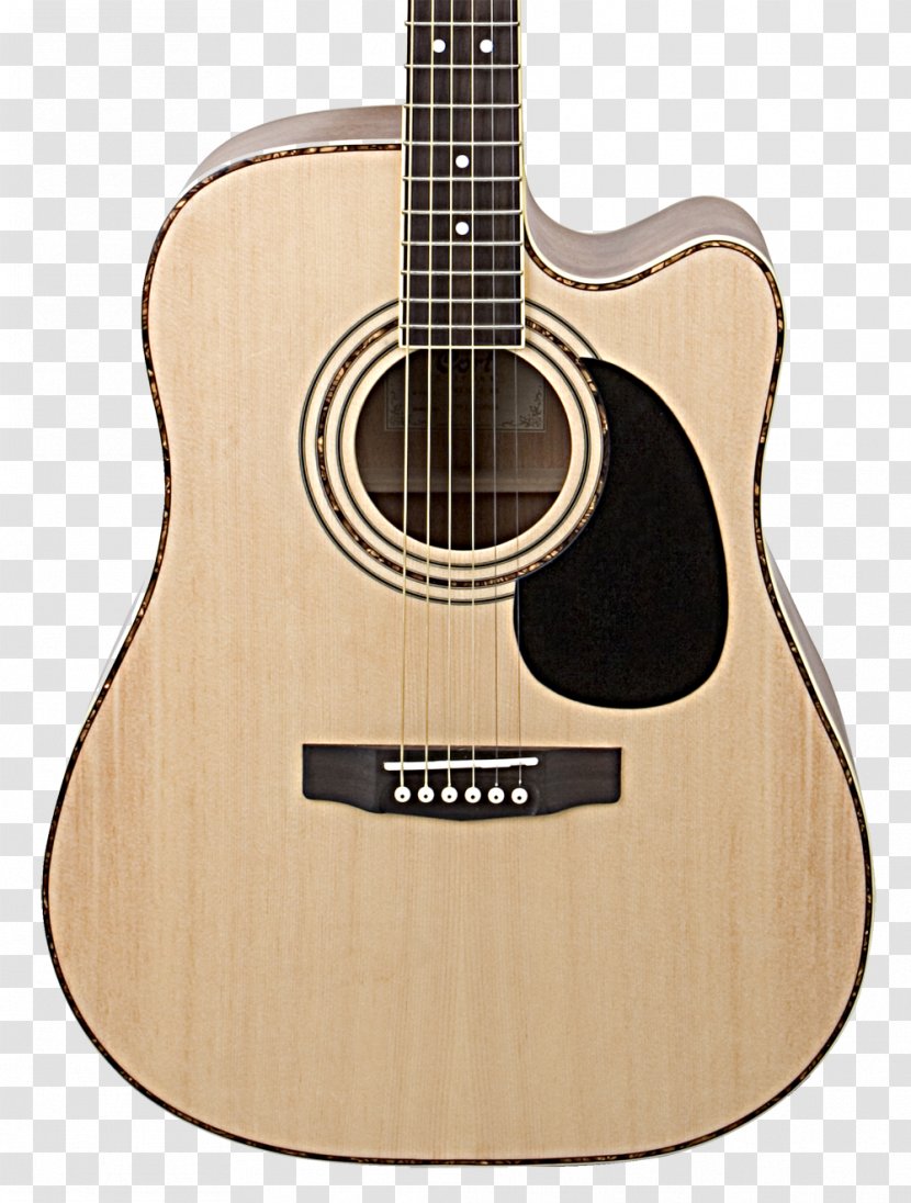 Acoustic-electric Guitar Steel-string Acoustic Cort Guitars - Tree Transparent PNG