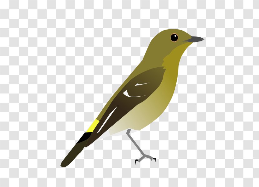 Yellow-rumped Flycatcher Ultramarine Eurasian Golden Oriole The Clements Checklist Of Birds World Common Nightingale - Beak Transparent PNG