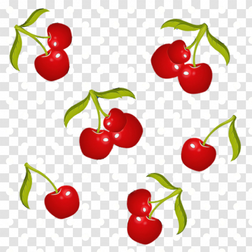 Natural Foods Superfood Plants Barbados Cherry Lingonberry Transparent PNG