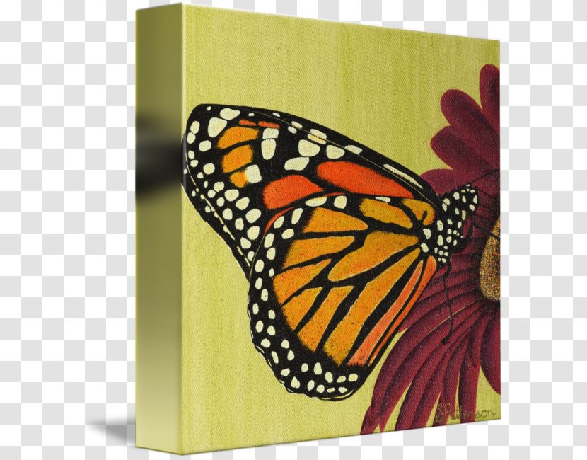 Monarch Butterfly Pieridae Painting Art - Glossy Butterflys Transparent PNG